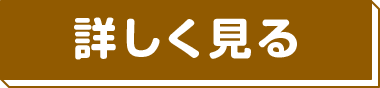 詳しく見る