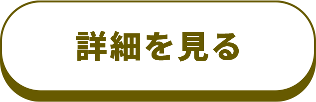 詳細を見る