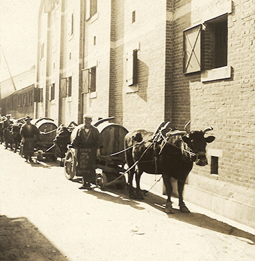 水はお酒造りの命！「宮水」発見